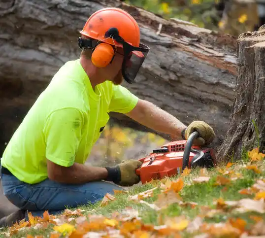 tree services Hardwood Acres